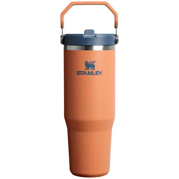 Vaso Térmico con pico Stanley Flip Straw Tumbler 10 12043 295 (887mL) Toast